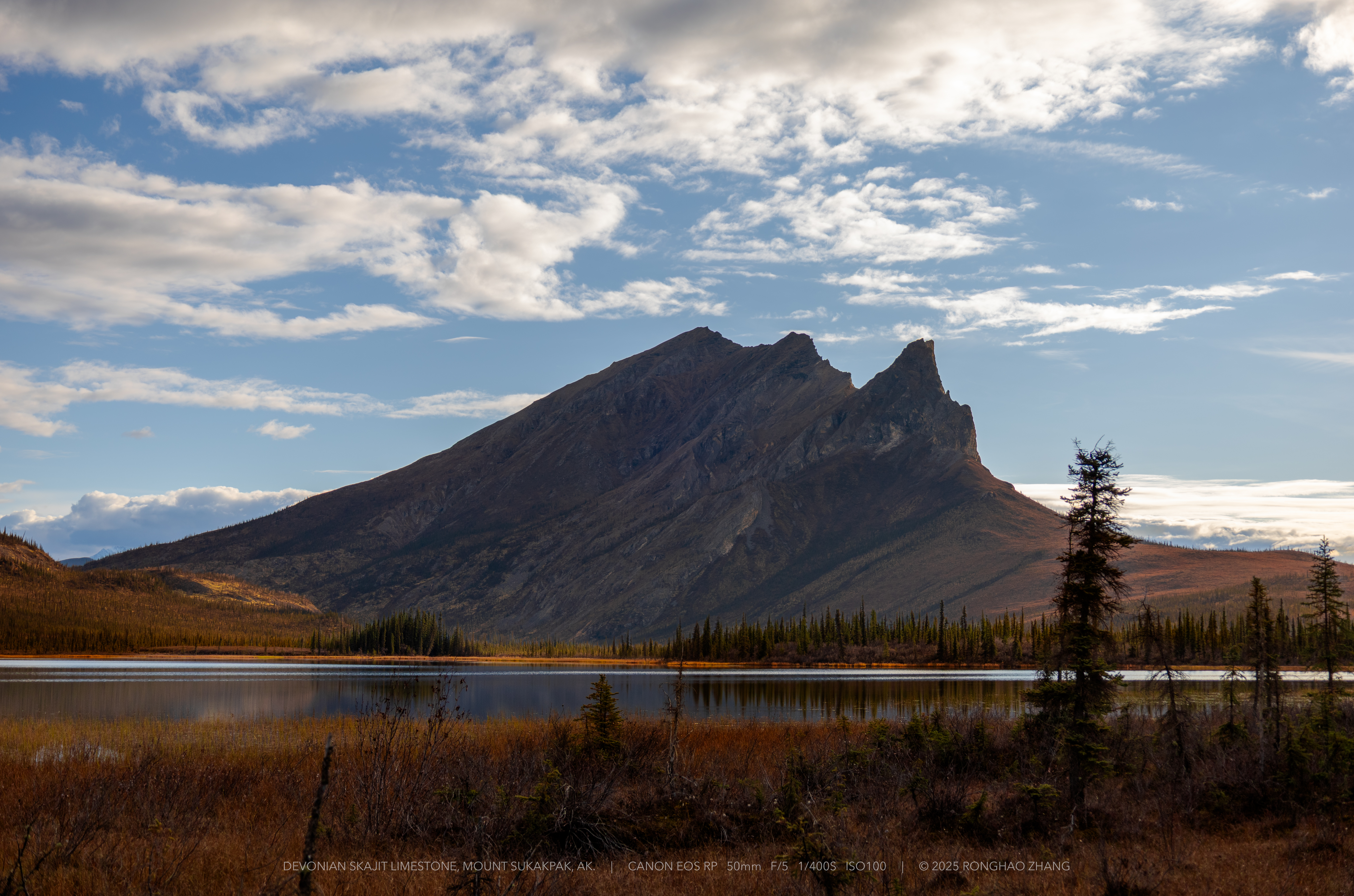 Devonian Skajit Limestone