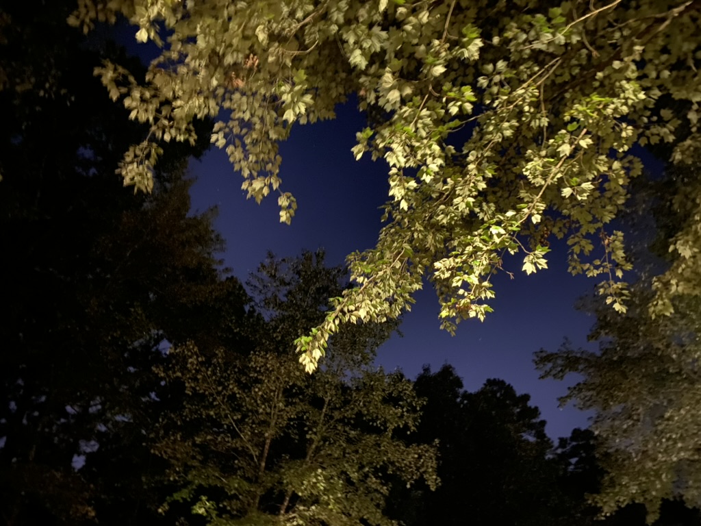 summer night image